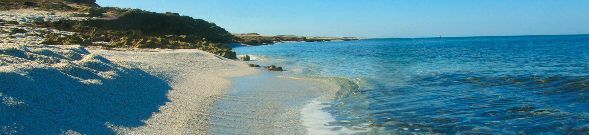 RUDH Vereinsreisen mit JTI